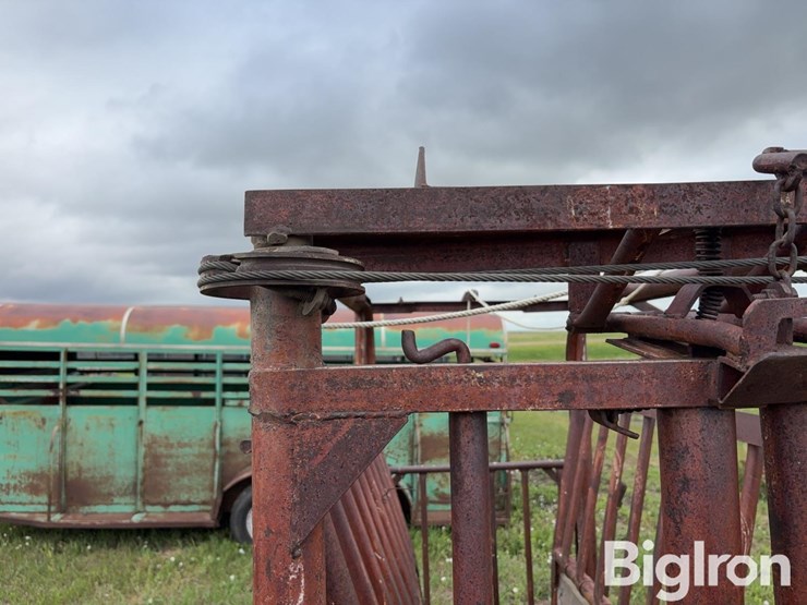 beef-master-cattle-chute-image-14