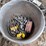 various-belts-image-9