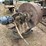 #2410-•-sawdust/shavings-dryer-plant-image-47