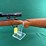 winchester-mdl.70-270-win-rifle-image-13
