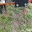 case-ih-200-image-11