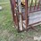 beef-master-cattle-chute-image-9
