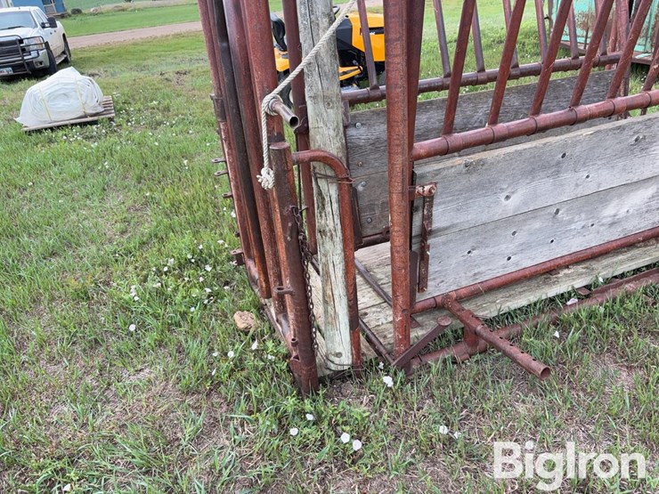 beef-master-cattle-chute-image-9