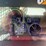 2014-caterpillar-262d-image-8