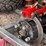 #1301-•-off-road-golf-cart-(no-title)-image-10