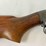 winchester-shotgun-image-5