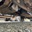 2012-ford-f350-image-23