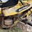 honey-bee-94c-image-11
