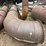 #2410-•-sawdust/shavings-dryer-plant-image-73