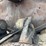 #2410-•-sawdust/shavings-dryer-plant-image-17