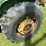 2010-john-deere-2010-image-10