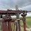 beef-master-cattle-chute-image-13