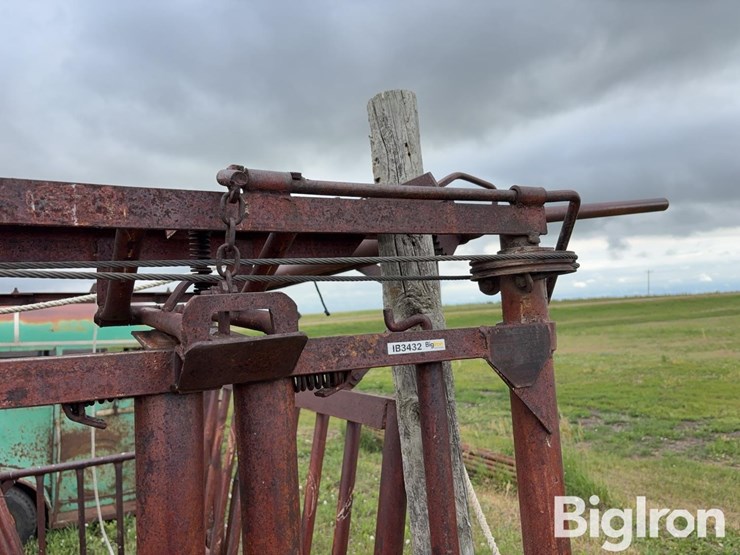 beef-master-cattle-chute-image-13