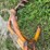 3-pt-hitch-auger-drive-image-5