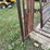 beef-master-cattle-chute-image-17