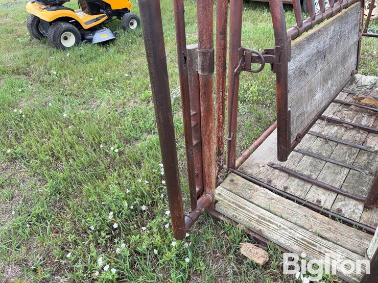 beef-master-cattle-chute-image-17
