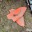 dr-roto-hog-pull-behind-power-tiller-image-13