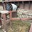 #2408-•-wood-shaving-plant-image-21