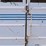 #1088-•-2000-donahue-livestock-trailer-image-10