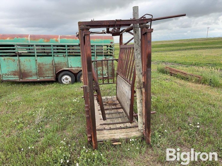 beef-master-cattle-chute-image-15