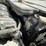 #160-•-2015-hyundai-sonata-(clean-tx-title)-image-18