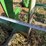 frontier-euro-mount-bale-spear-image-9