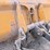 2006-deere-544j-image-15