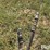 gilmore-dump-image-10