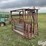 beef-master-cattle-chute-image-3