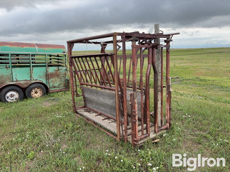 beef-master-cattle-chute-image-3