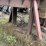 #2407-•-wood-shaving-plant-w/-40hp-motor-image-28