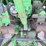 john-deere-4430-image-55