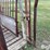 beef-master-cattle-chute-image-16