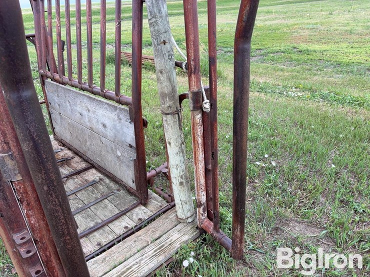 beef-master-cattle-chute-image-16