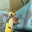 yanmar-b50-image-20
