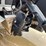 #1192-•-22'-sylvan-westwind-pontoon-(has-wi-title)-image-46