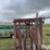 beef-master-cattle-chute-image-12