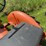 allis-chalmers-b-image-6
