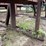 #2408-•-wood-shaving-plant-image-26