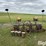 john-deere-4r30-planter-image-2