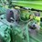 john-deere-bn-image-15
