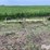 john-deere-7100-image-2