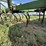 john-deere-100-image-9