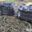 rubbermaid-100-gal-tubs-image-6