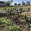 john-deere-100-image-5