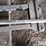 boom-sections-image-9