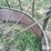 the-hay-manager-bale-feeder-image-14