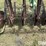 oliver-superior-mechanical-grain-drill-image-12