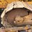 caterpillar-d4d-image-12