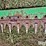 john-deere-450-image-17